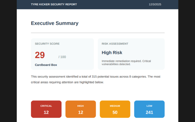 Professional Security Report